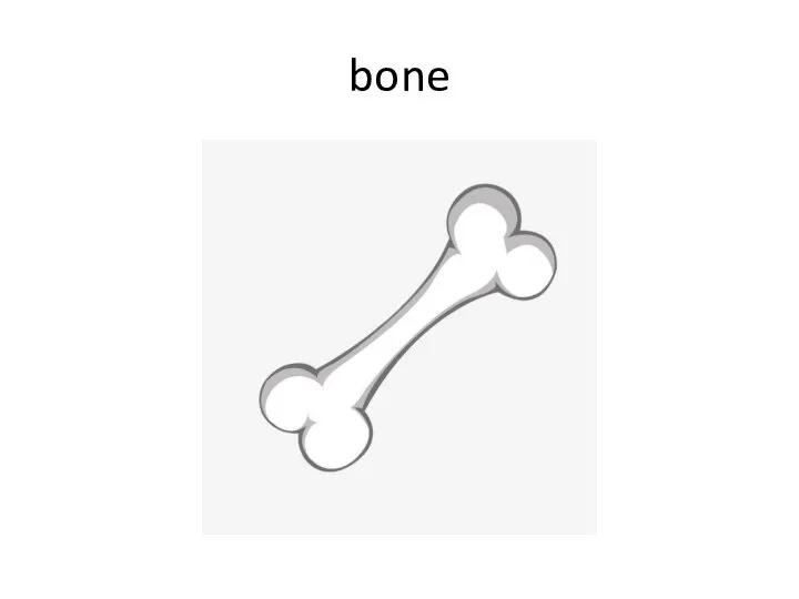 bone