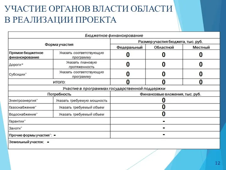 УЧАСТИЕ ОРГАНОВ ВЛАСТИ ОБЛАСТИ В РЕАЛИЗАЦИИ ПРОЕКТА