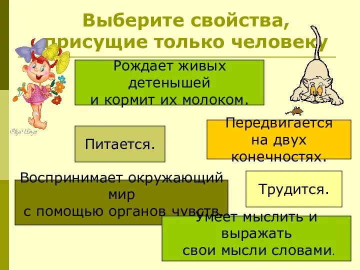 Воспринимает окружающий мир с помощью органов чувств. Питается. Передвигается на двух конечностях.