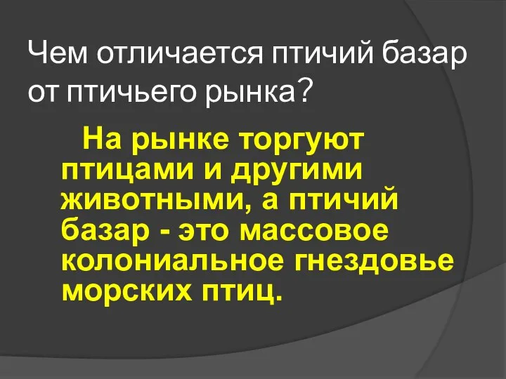 Чем отличается птичий базар от птичьего рынка? На рынке торгуют птицами и