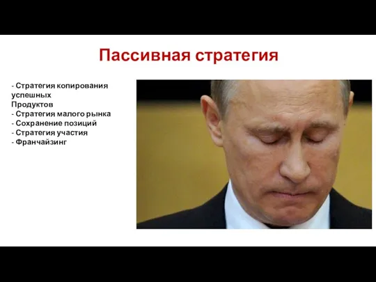 Пассивная стратегия - Стратегия копирования успешных Продуктов - Стратегия малого рынка -