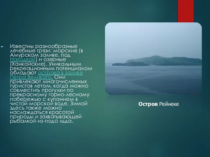 Известны разнообразные лечебные грязи: морские (в Амурском заливе, под Находкой) и озерные