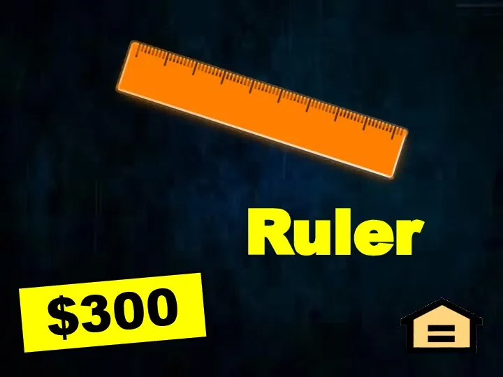 Ruler $300