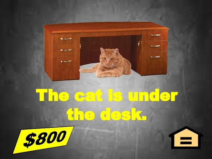 The cat is under the desk.