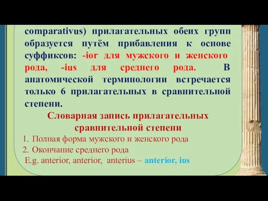 Сравнительная степень (gradus comparativus) прилагательных обеих групп образуется путём прибавления к основе