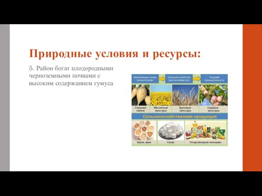 Природные условия и ресурсы: 5. Район богат плодородными черноземными почвами с высоким содержанием гумуса