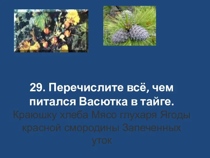 29. Перечислите всё, чем питался Васютка в тайге. Краюшку хлеба Мясо глухаря