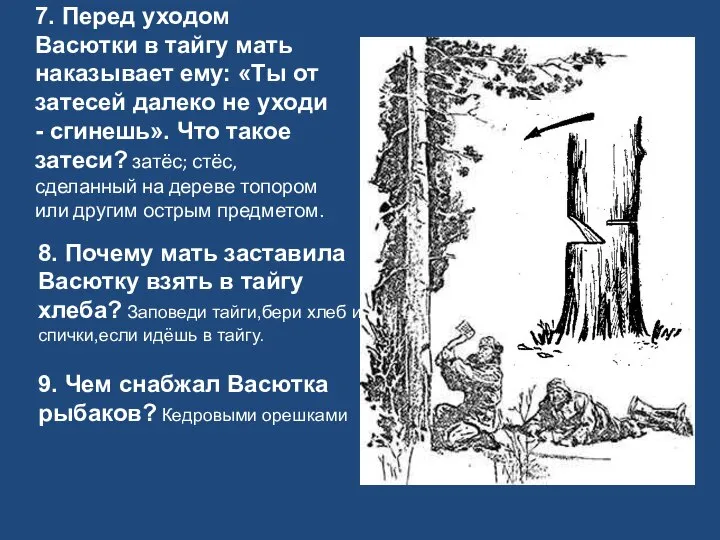 7. Перед уходом Васютки в тайгу мать наказывает ему: «Ты от затесей