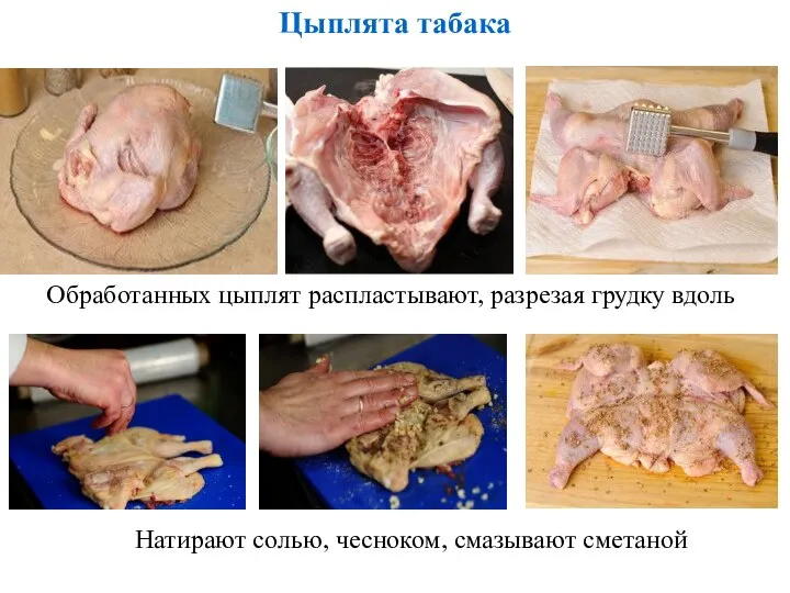 Цыплята табака Обработанных цыплят распластывают, разрезая грудку вдоль Натирают солью, чесноком, смазывают сметаной