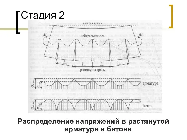 Стадия 2 Распределение напряжений в растянутой арматуре и бетоне