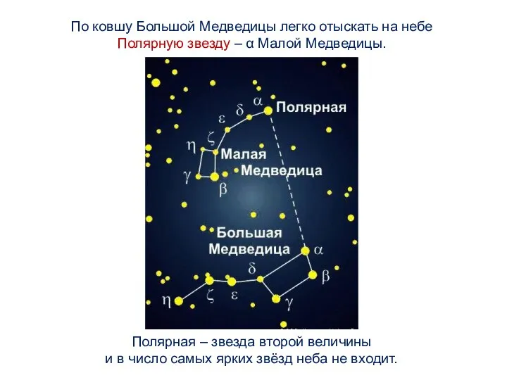 По ковшу Большой Медведицы легко отыскать на небе Полярную звезду – α