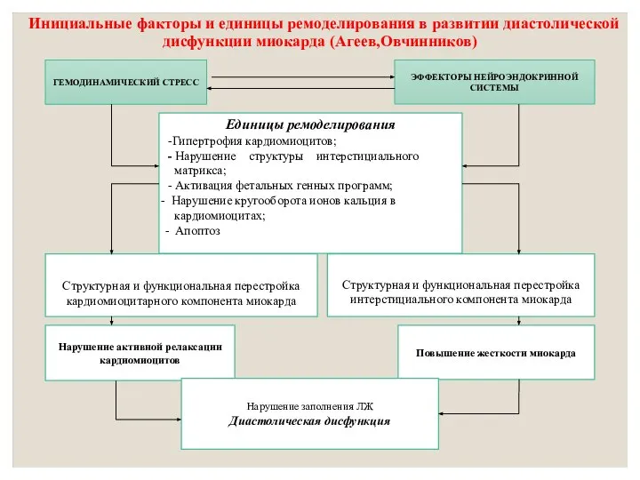 Инициальные факторы и единицы ремоделирования в развитии диастолической дисфункции миокарда (Агеев,Овчинников)