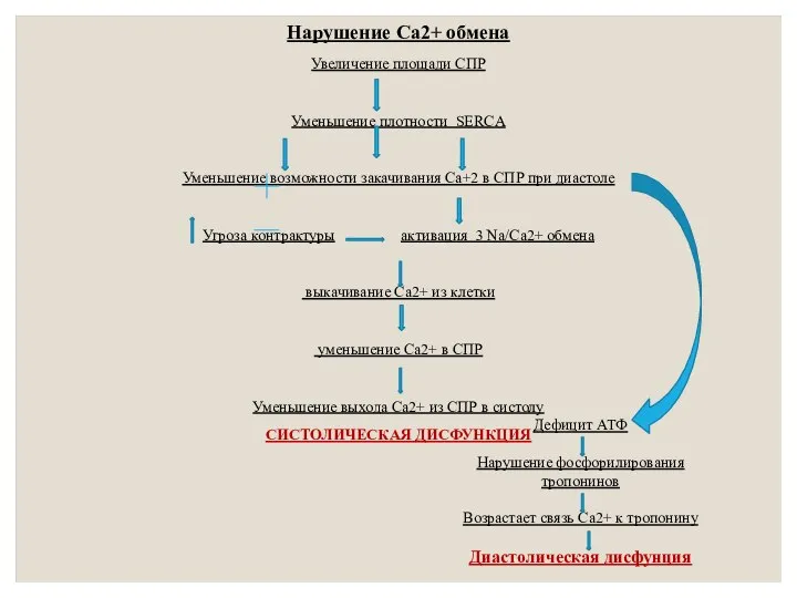 Нарушение Са2+ обмена Увеличение площади СПР Уменьшение плотности SERCA Уменьшение возможности закачивания