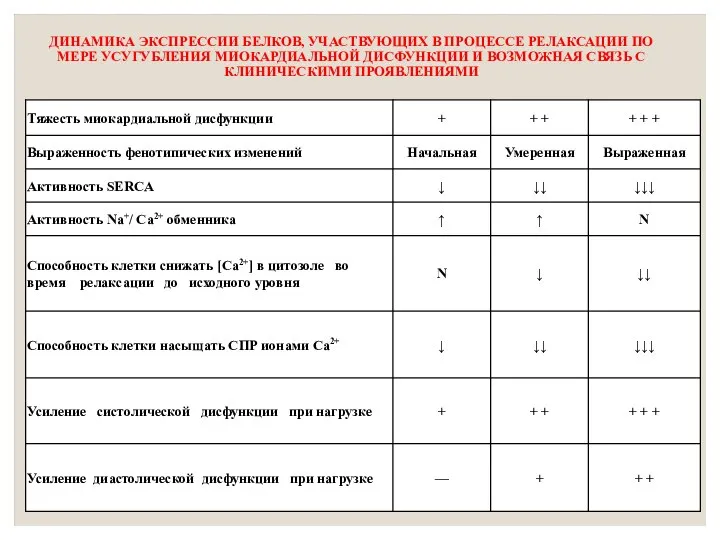 ДИНАМИКА ЭКСПРЕССИИ БЕЛКОВ, УЧАСТВУЮЩИХ В ПРОЦЕССЕ РЕЛАКСАЦИИ ПО МЕРЕ УСУГУБЛЕНИЯ МИОКАРДИАЛЬНОЙ ДИСФУНКЦИИ