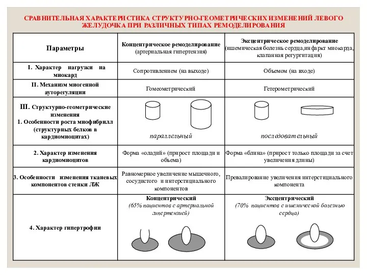 СРАВНИТЕЛЬНАЯ ХАРАКТЕРИСТИКА СТРУКТУРНО-ГЕОМЕТРИЧЕСКИХ ИЗМЕНЕНИЙ ЛЕВОГО ЖЕЛУДОЧКА ПРИ РАЗЛИЧНЫХ ТИПАХ РЕМОДЕЛИРОВАНИЯ