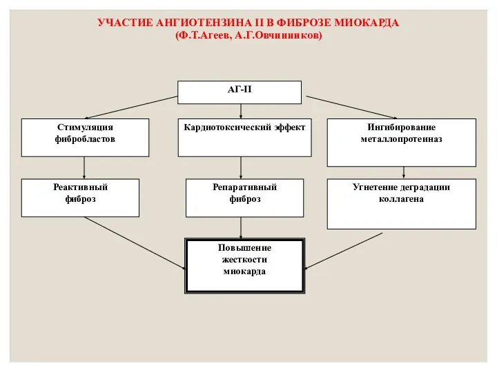 УЧАСТИЕ АНГИОТЕНЗИНА II В ФИБРОЗЕ МИОКАРДА (Ф.Т.Агеев, А.Г.Овчинников)