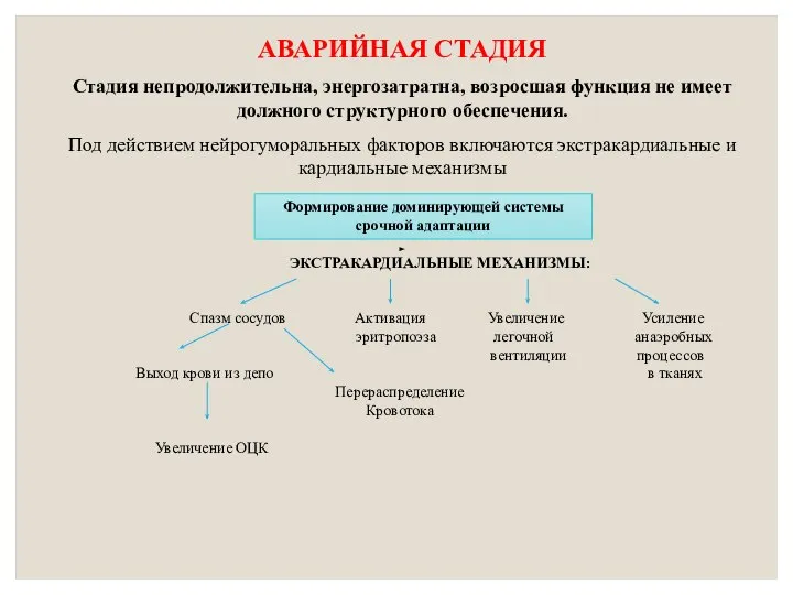 АВАРИЙНАЯ СТАДИЯ Стадия непродолжительна, энергозатратна, возросшая функция не имеет должного структурного обеспечения.