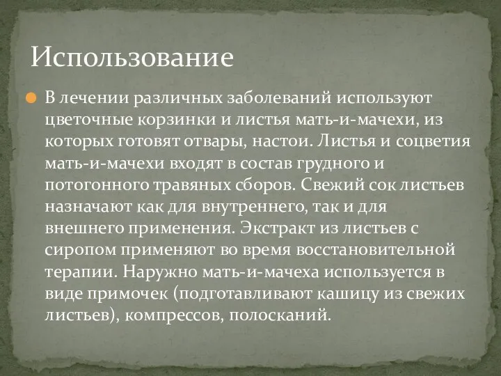 В лечении различных заболеваний используют цветочные корзинки и листья мать-и-мачехи, из которых