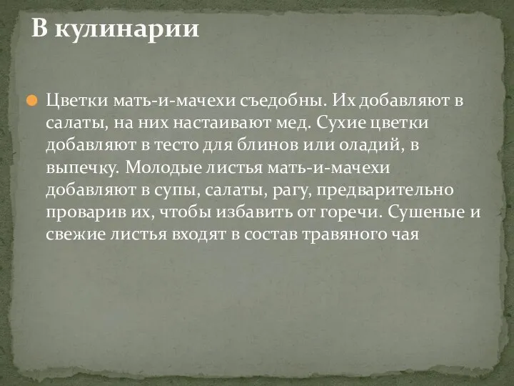 Цветки мать-и-мачехи съедобны. Их добавляют в салаты, на них настаивают мед. Сухие