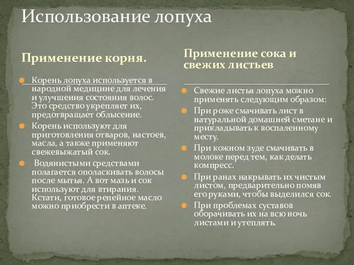 Применение корня. Корень лопуха используется в народной медицине для лечения и улучшения