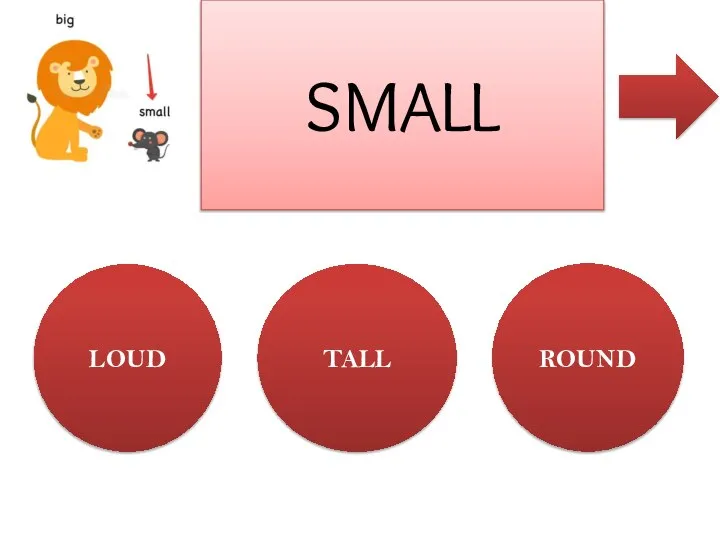 LOUD TALL ROUND SMALL