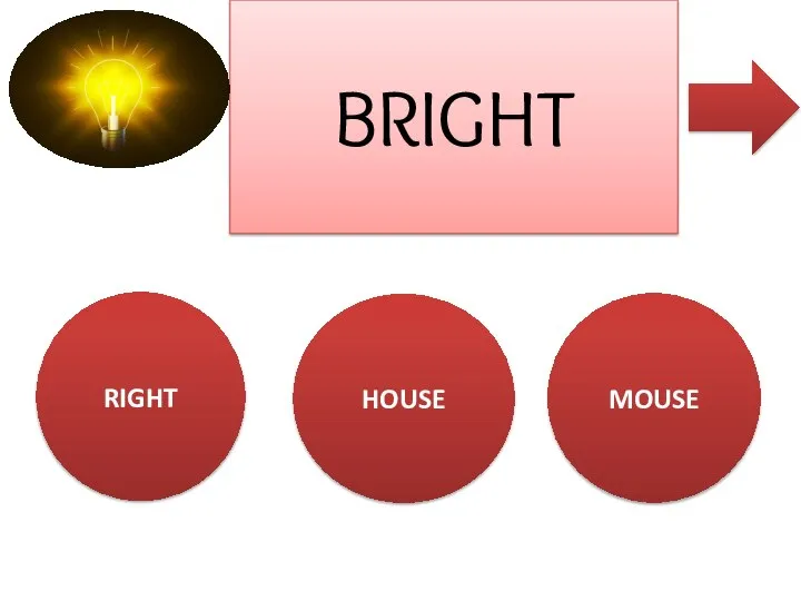 RIGHT HOUSE MOUSE BRIGHT