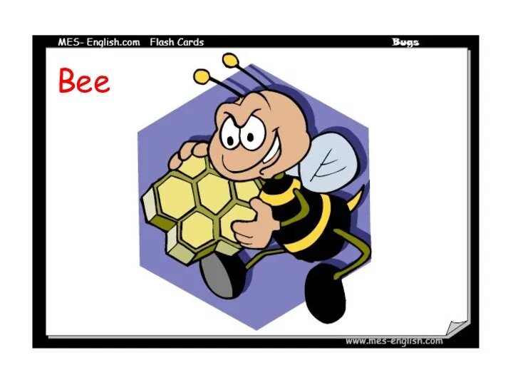 Bee