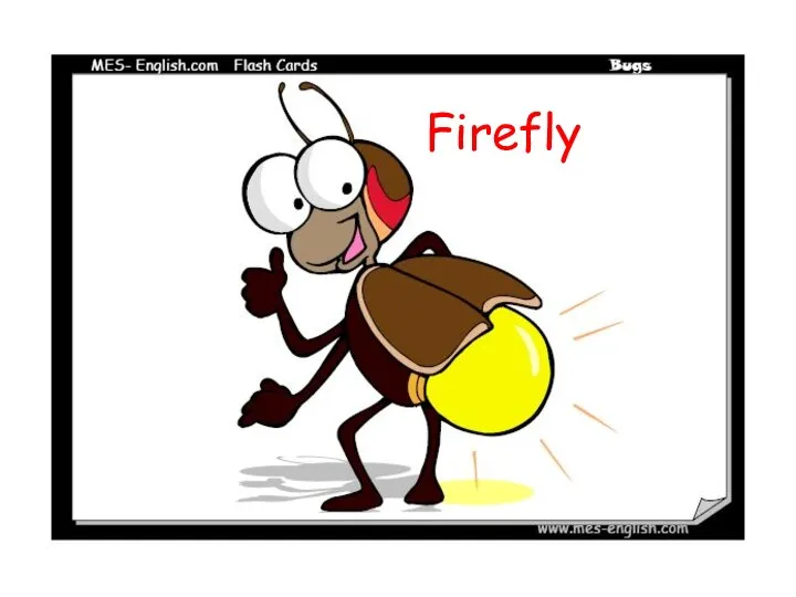 Firefly