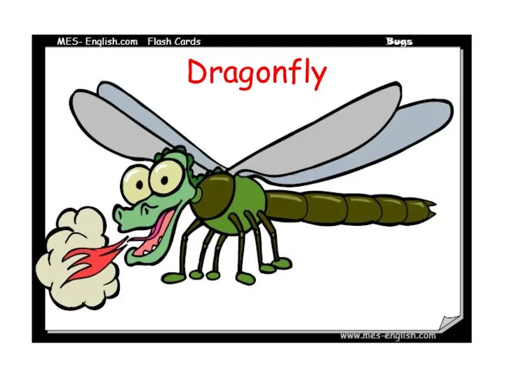 Dragonfly