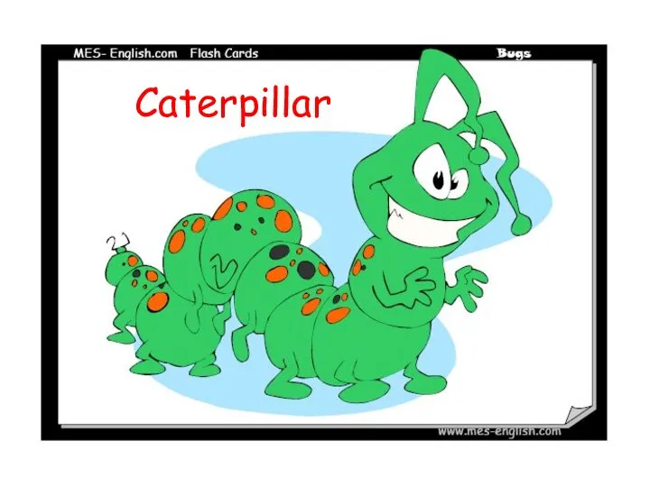 Caterpillar