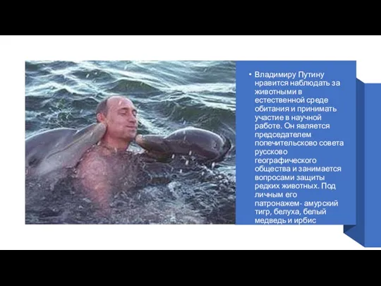 Владимиру Путину нравится наблюдать за животными в естественной среде обитания и принимать
