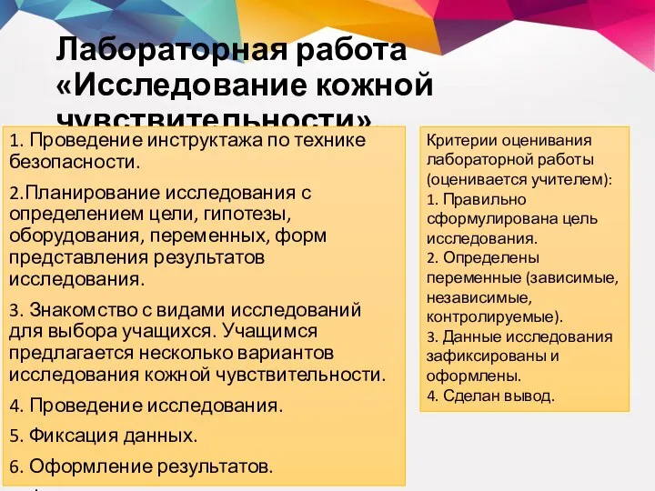 Лабораторная работа «Исследование кожной чувствительности». 1. Проведение инструктажа по технике безопасности. 2.Планирование