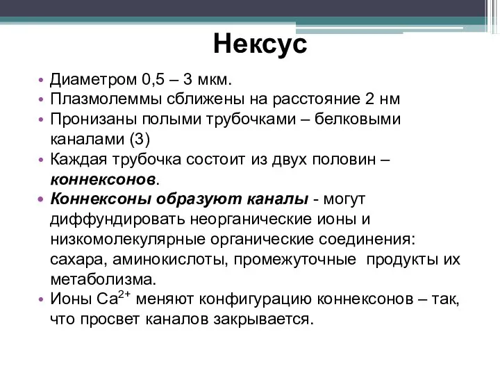 Нексус Диаметром 0,5 – 3 мкм. Плазмолеммы сближены на расстояние 2 нм