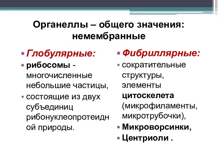 Органеллы – общего значения: немембранные Глобулярные: рибосомы - многочисленные небольшие частицы, состоящие