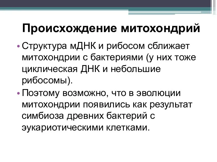 Происхождение митохондрий Структура мДНК и рибосом сближает митохондрии с бактериями (у них