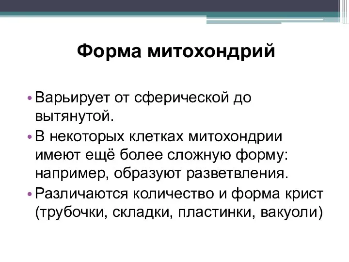 Форма митохондрий Варьирует от сферической до вытянутой. В некоторых клетках митохондрии имеют