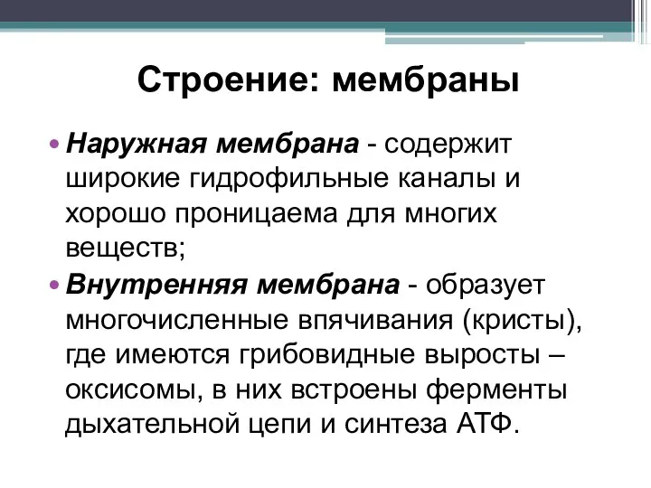 Строение: мембраны Наружная мембрана - содержит широкие гидрофильные каналы и хорошо проницаема