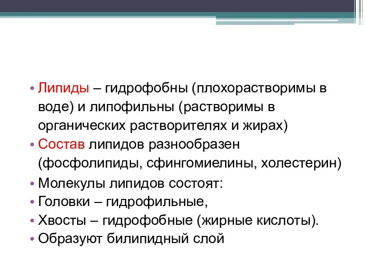 Липиды – гидрофобны (плохорастворимы в воде) и липофильны (растворимы в органических растворителях