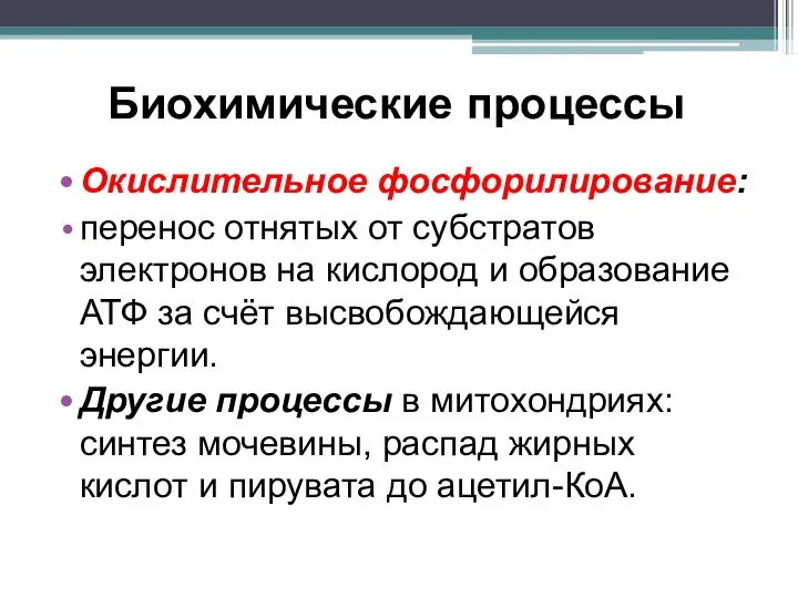 Биохимические процессы Окислительное фосфорилирование: перенос отнятых от субстратов электронов на кислород и