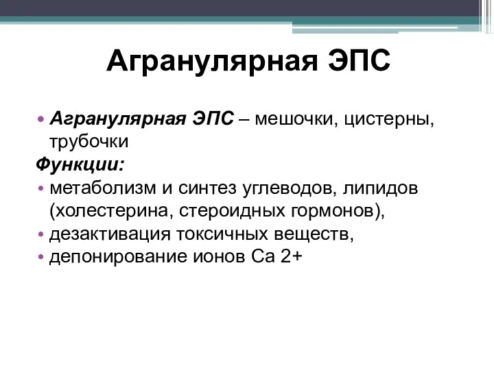 Агранулярная ЭПС Агранулярная ЭПС – мешочки, цистерны, трубочки Функции: метаболизм и синтез