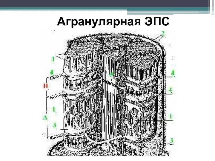 Агранулярная ЭПС