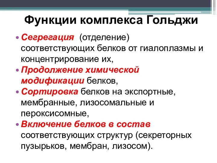 Функции комплекса Гольджи Сегрегация (отделение) соответствующих белков от гиалоплазмы и концентрирование их,