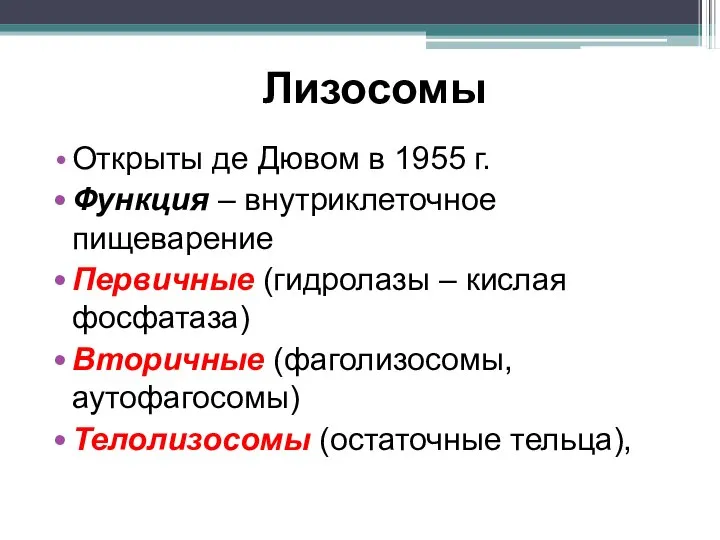 Лизосомы Открыты де Дювом в 1955 г. Функция – внутриклеточное пищеварение Первичные