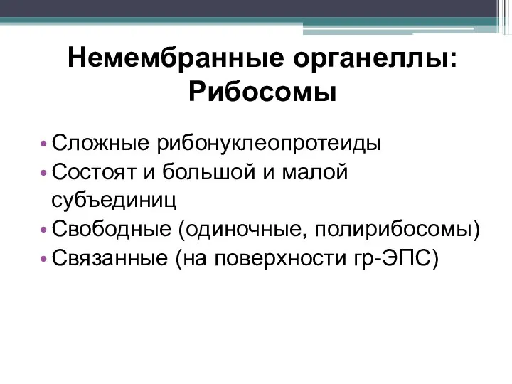 Немембранные органеллы: Рибосомы Сложные рибонуклеопротеиды Состоят и большой и малой субъединиц Свободные