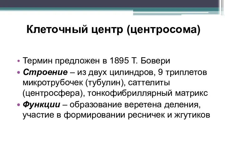 Клеточный центр (центросома) Термин предложен в 1895 Т. Бовери Строение – из