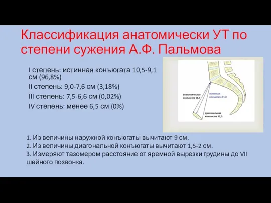 Классификация анатомически УТ по степени сужения А.Ф. Пальмова I степень: истинная конъюгата