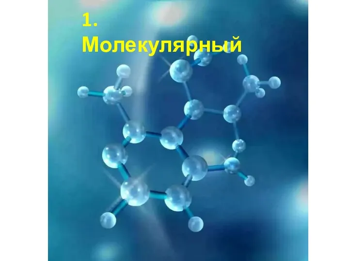 1. Молекулярный