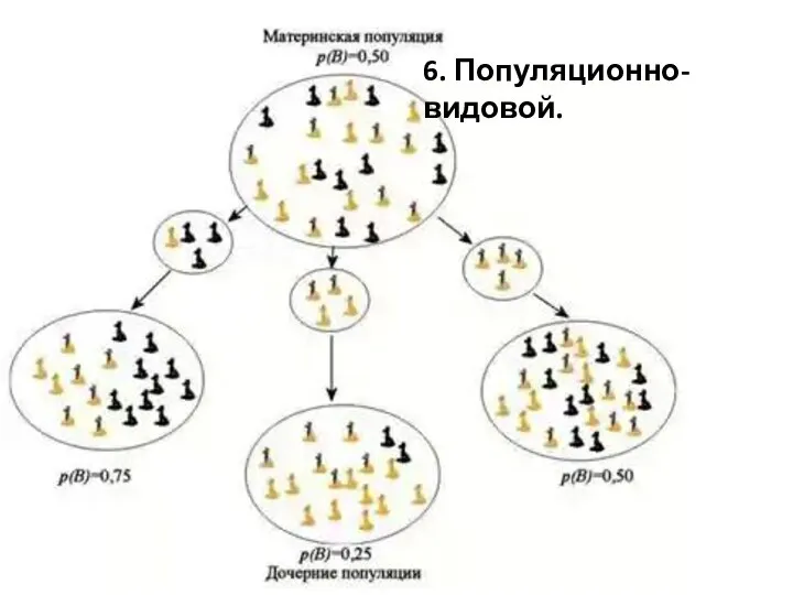 6. Популяционно-видовой.