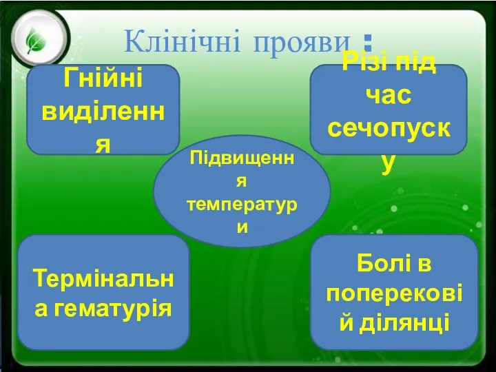 Клінічні прояви : Гнійні виділення Різі під час сечопуску Термінальна гематурія Болі