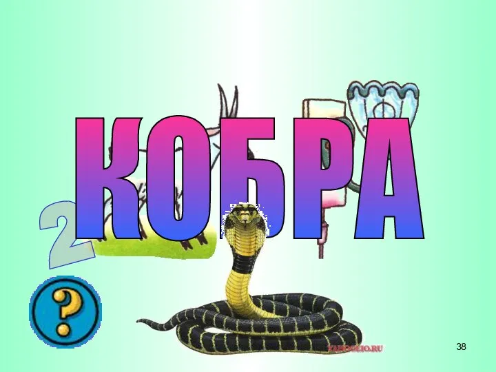 2 КОБРА